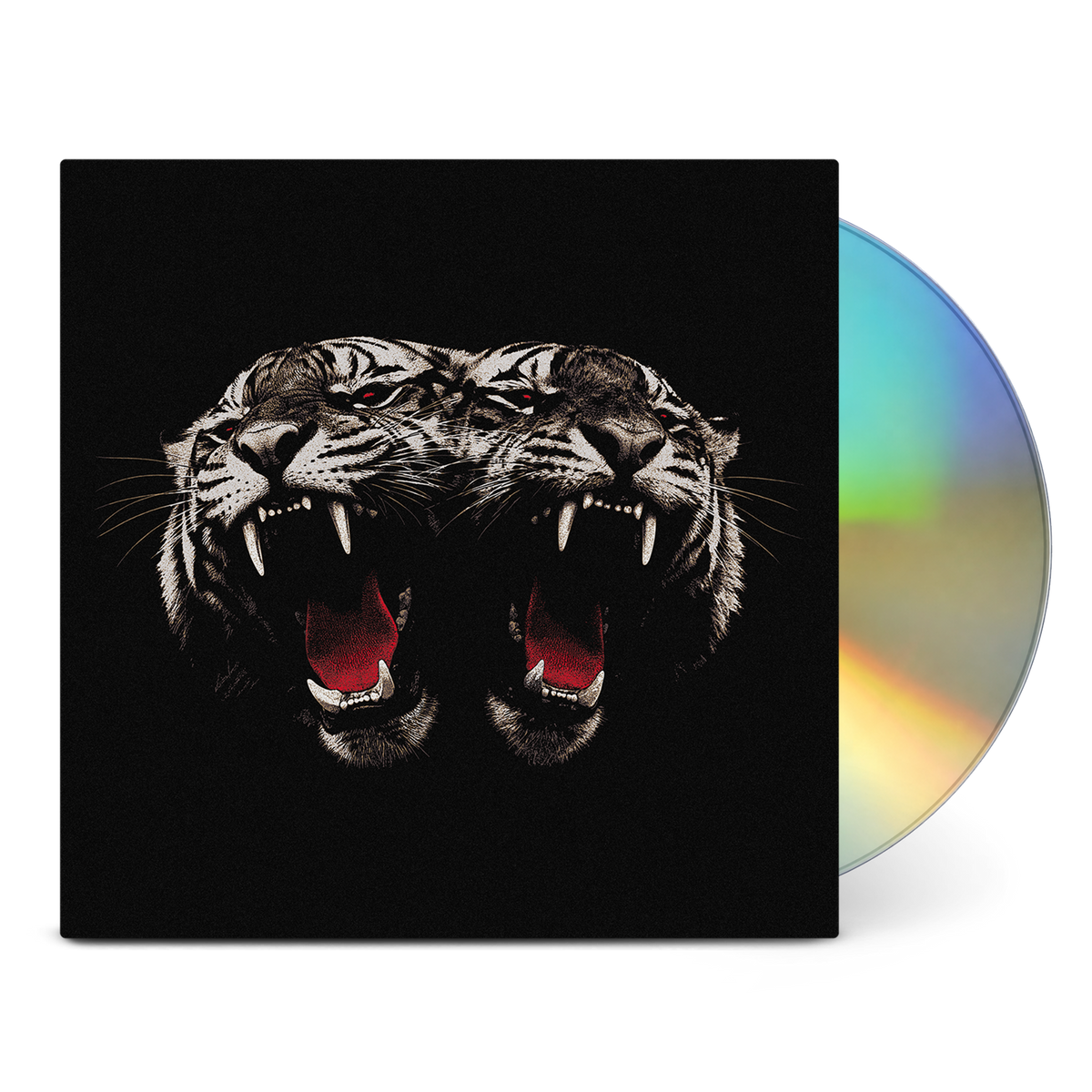Dead Company | Signed Deluxe Vinyl + CD + Cassette Bundle