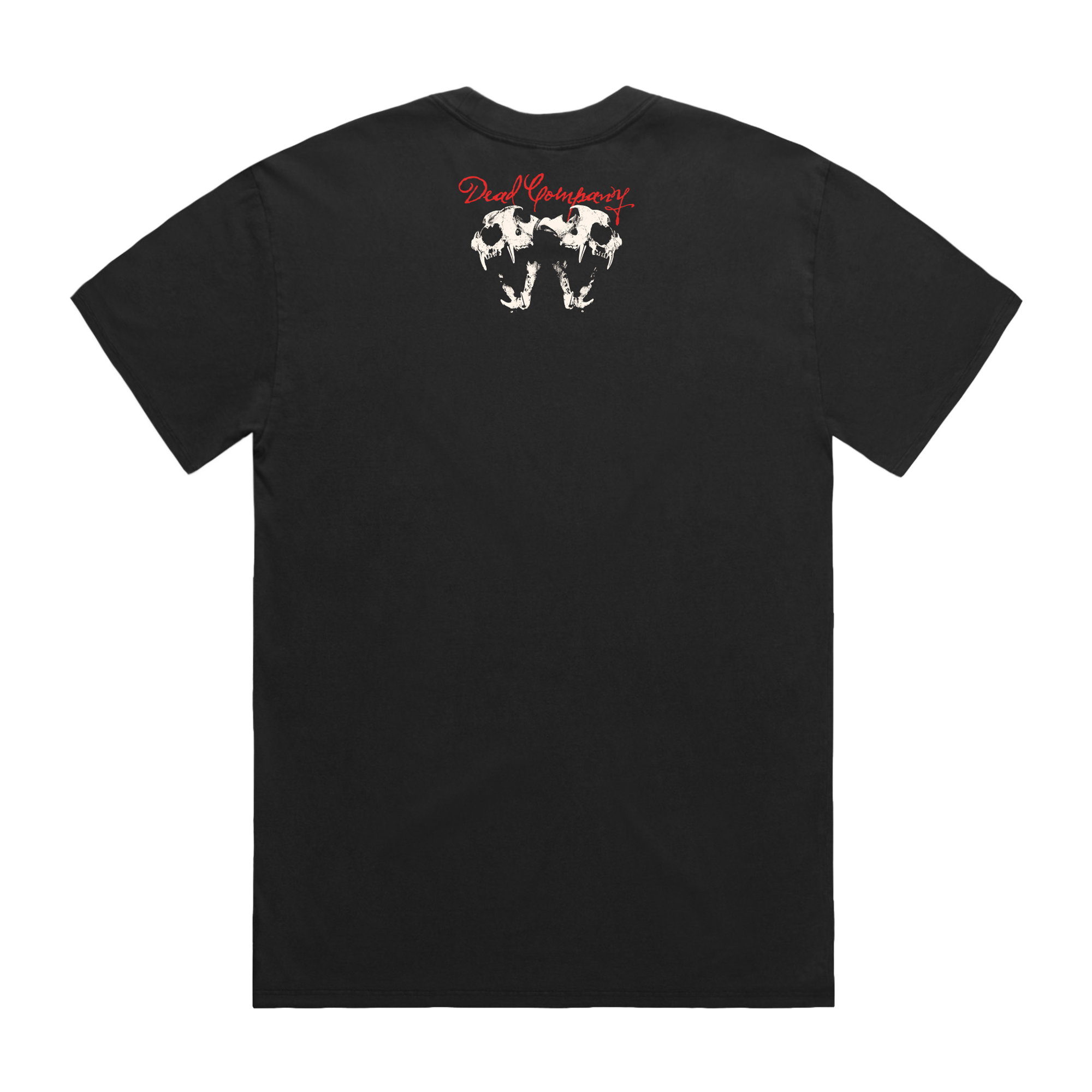 Dead Company | Coloured Tiger Faded Black T-Shirt